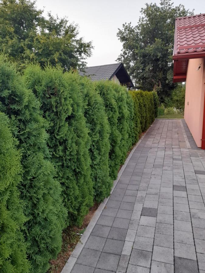 Villa Usivak For Green Quiet Holiday Near Sarajevo#Travellerawards2025 Екстериор снимка