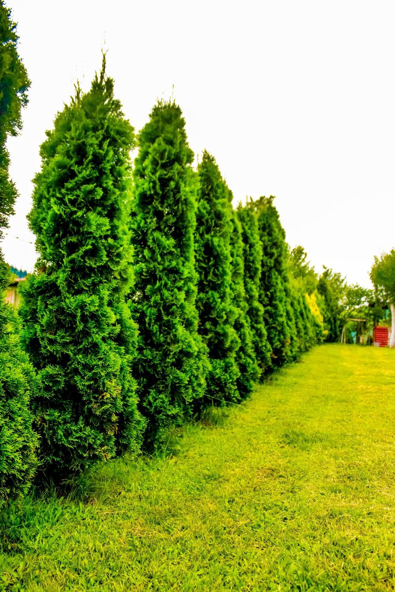 Villa Usivak For Green Quiet Holiday Near Sarajevo#Travellerawards2025 Екстериор снимка